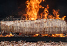 Sanayi Devrimi’nden yüzyıllar önce İstanbul’da yaşamış bir deha: Buhar gücüyle kebap çevirdi!