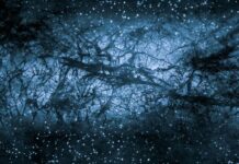 Karanlık maddeye dair yeni teori: İki farklı bileşenden oluşuyor olabilir