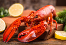 Mutfaktaki etik kriz: Istakozların acı çektiği bilimsel olarak kanıtlandı