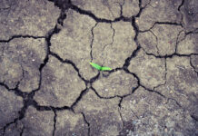 En kritik eşik yaklaşıyor: Dünya ne kadar daha dayanır?