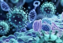 HIV’in gen haritasını çıkaran araştırmacılar, virüsü durdurabilecek iki kritik protein buldu