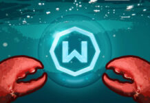 Aynı IP’den kaç bot çalıştırıyorsun? Risk büyüyor