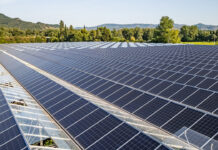 Toprağın dijital zırhı: Çin’in algoritmaları dünyayı doyurabilir mi?