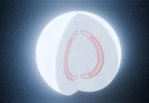 Yıldızların ölümünden sonra bile yaşayan gizemli güç: Güneş de böyle mi yok olacak?