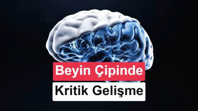 1783011661519