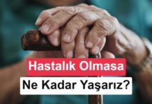 İnsan ömrünün sınırı hesaplandı: Hastalıksız ne kadar süre yaşayabiliriz?