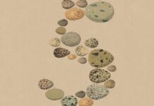 Anthropic, Yeni Amiral Gemisi Yapay Zekâ Modeli Opus 5’i Duyurdu: Neler Sunuyor?