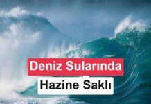Deniz sularının binde biri dünyanın 50 bin yıllık ihtiyacını karşılayabilir