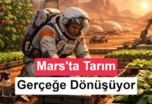 Mantarlar, Mars’ın verimsiz toprağını geleceğin tarlalarına dönüştürebilir