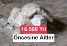 Bilecik’te 16.500 yıl öncesine ait kaplumbağa heykelleri bulundu